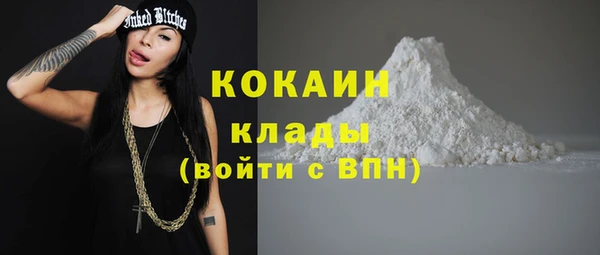 твердый Абаза