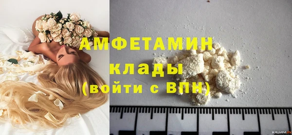 твердый Абаза