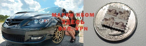 твердый Абаза