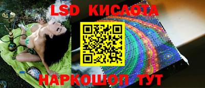 спайс Гай