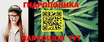 спайс Гай