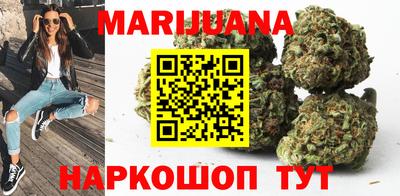 спайс Гай