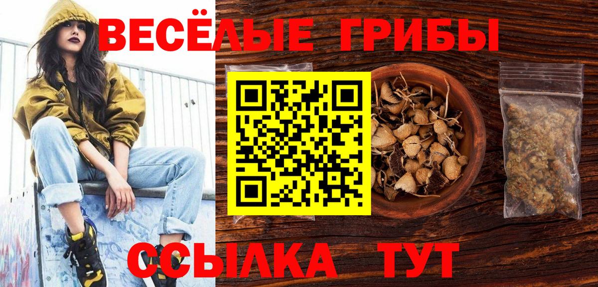 Лангепас  Псилоцибиновые грибы Psilocybine cubensis  Вход с VPN 